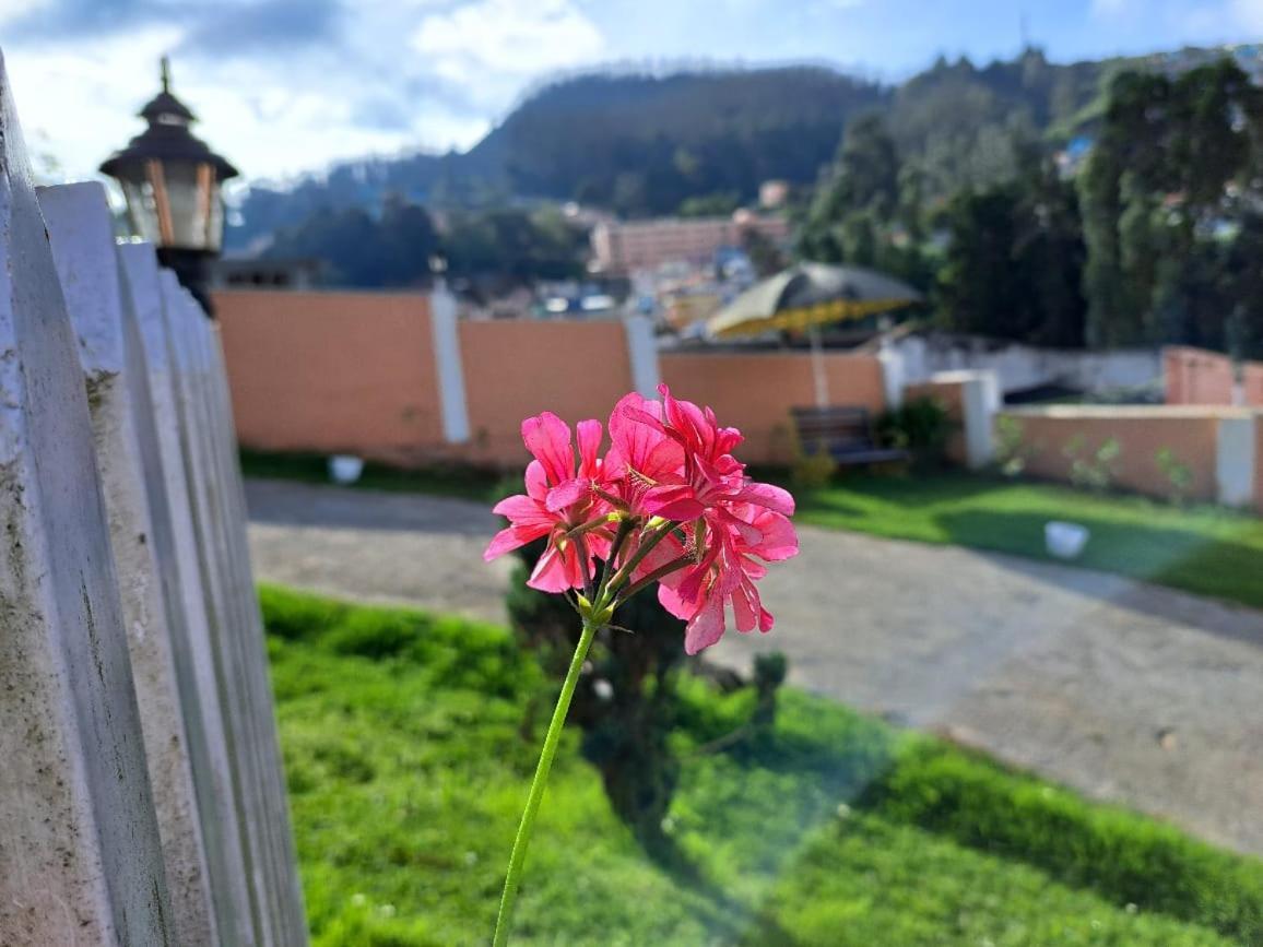 Winterfell Ooty
